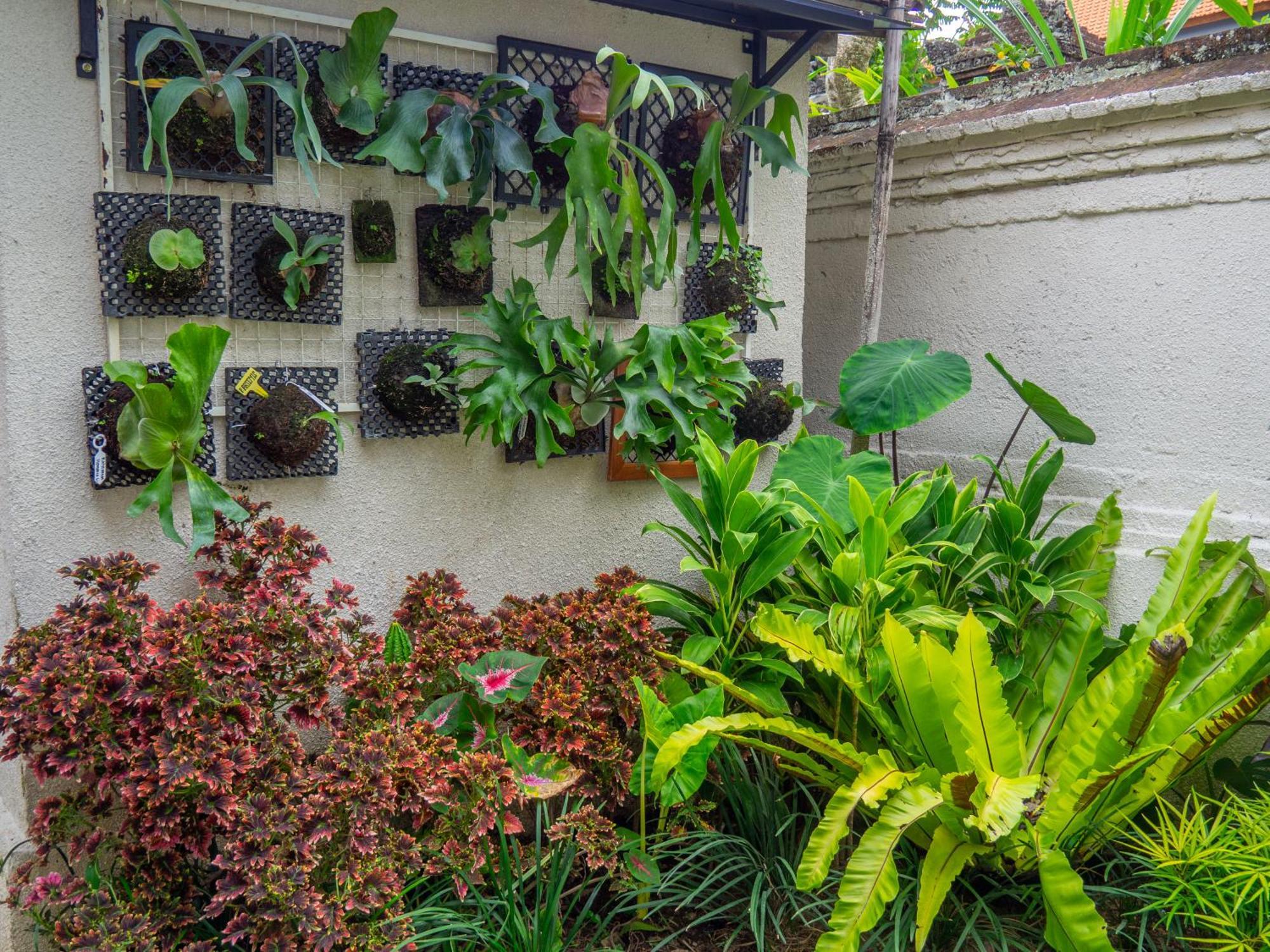 Arumasta Ubud المظهر الخارجي الصورة
